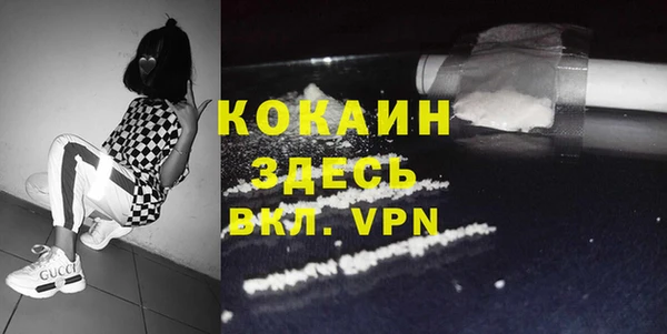 гидра Алексеевка