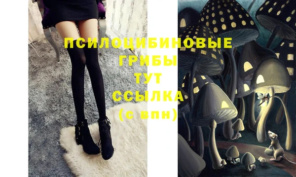 дживик Абаза