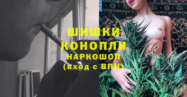 гидра Алексеевка