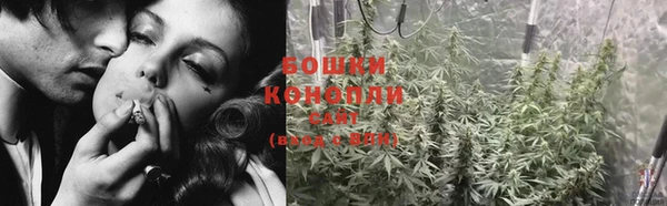дживик Абаза